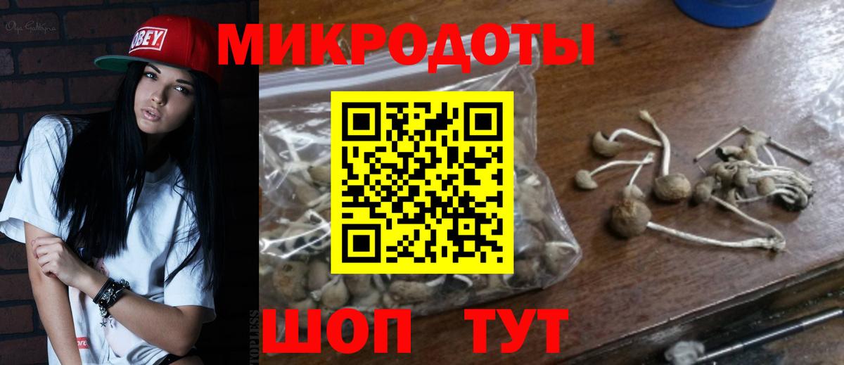 Галлюциногенные грибы мухоморы  Вход с VPN  Муром 